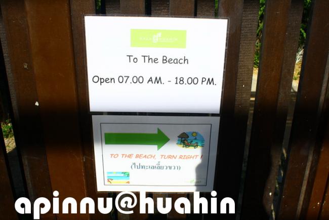 apinnu74.jpg